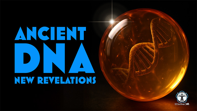 Rewriting Our Story with Ancient DNA