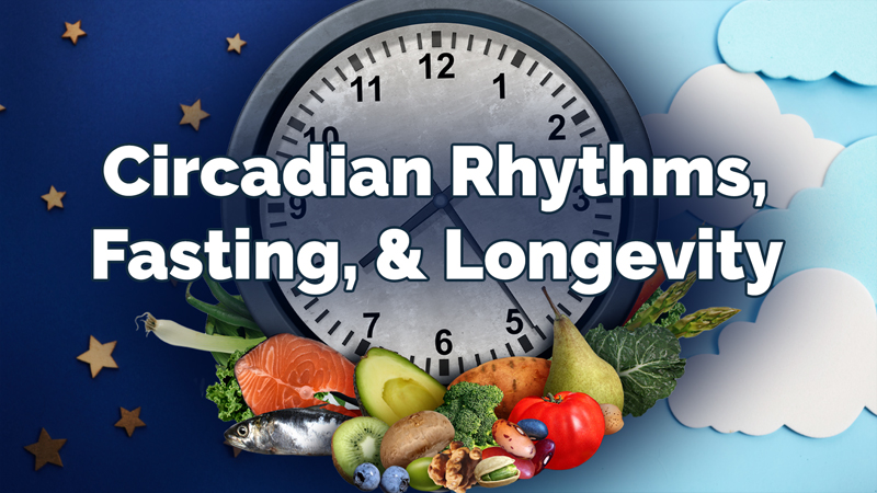 Circadian Rhythm and Intermittent Fasting for Healthy Lifespan
