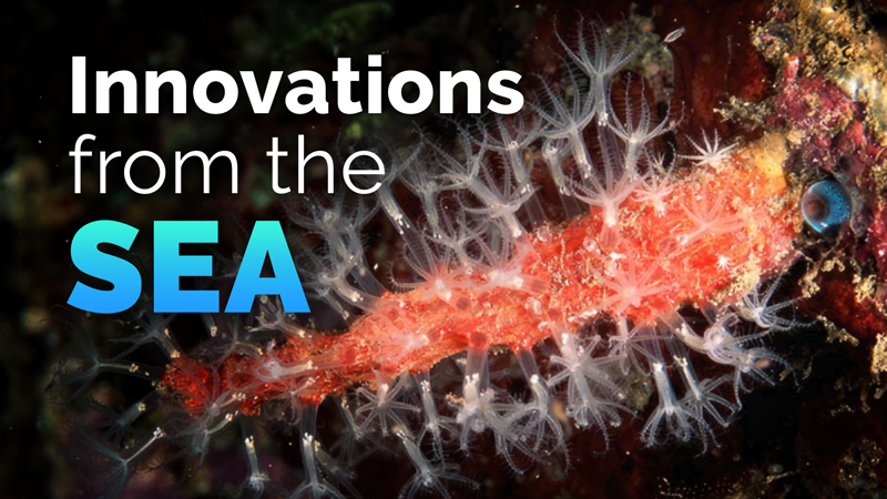 Scripps Researchers Decode the Ocean’s Chemical Language