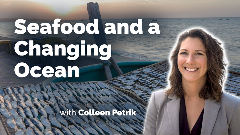 When Fish Catch Levels Off, Science Matters More Than Ever