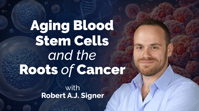 How Aging Helps Set the Stage for Cancer