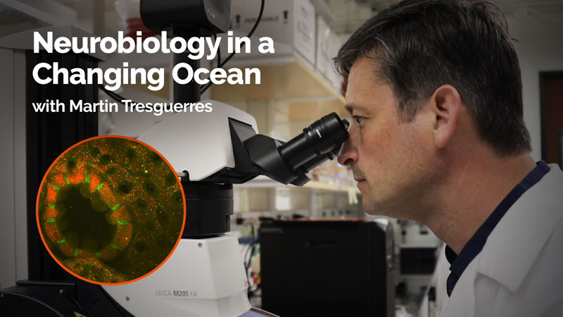 Understanding Marine Life in a Changing Climate